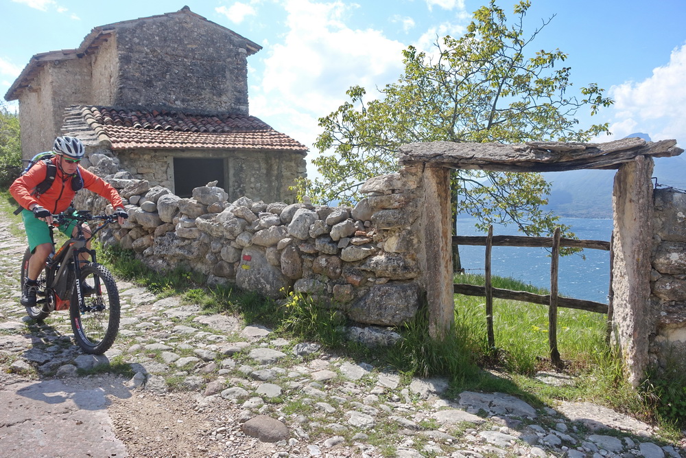 Vicari