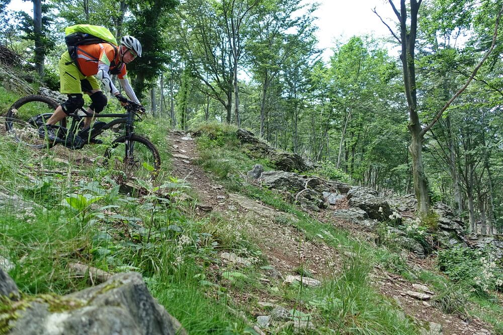 Supergroppo - flowiger Waldtrail