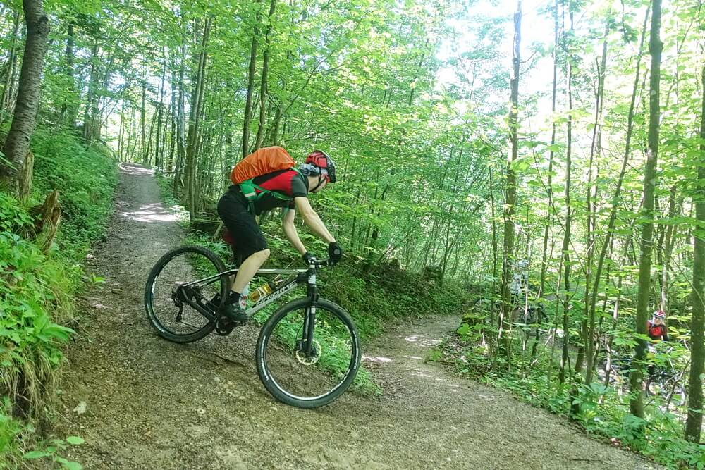 Volksbank Trail von St. Agatha nach Stambach