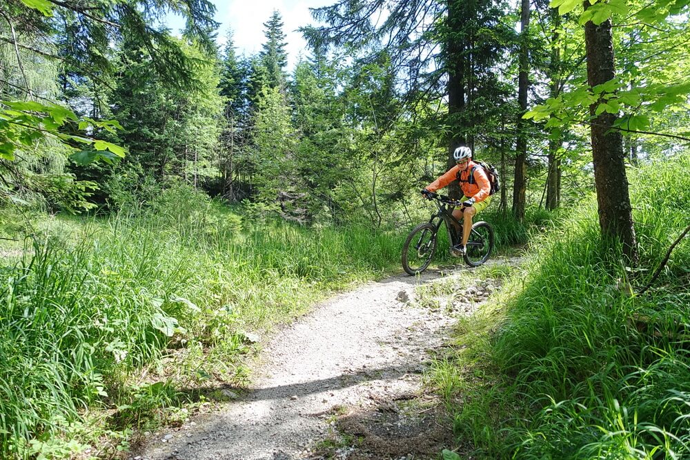 Trail am Pötschenpass