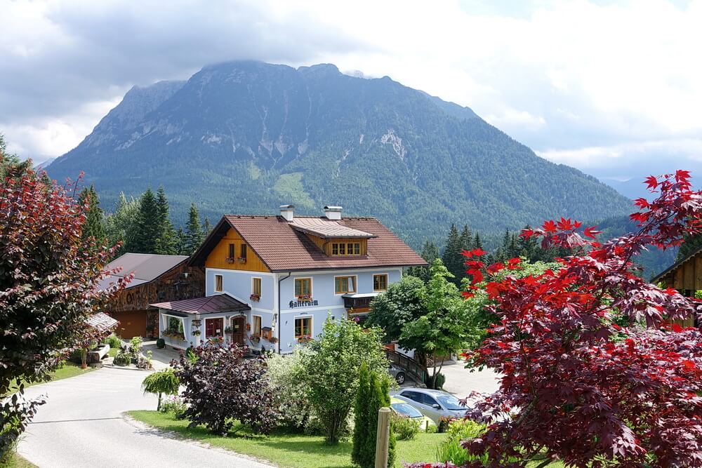 Halleralm