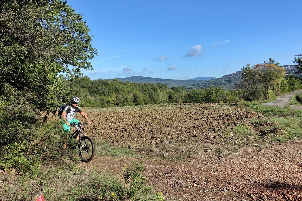 Auf dem Weg ein Hauch von Trail
