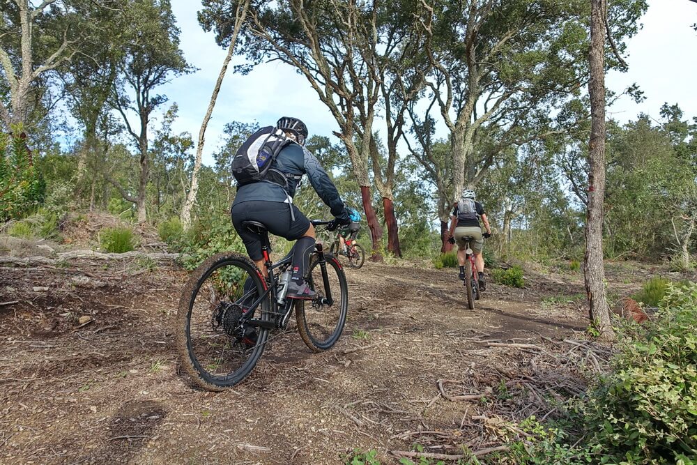 Auf dem Weg zum Picciwoop-Trail