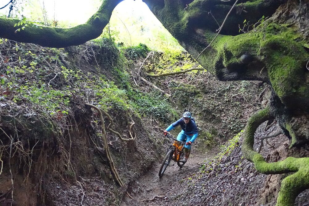 Nun das Vergnügen im Canyon-Trail