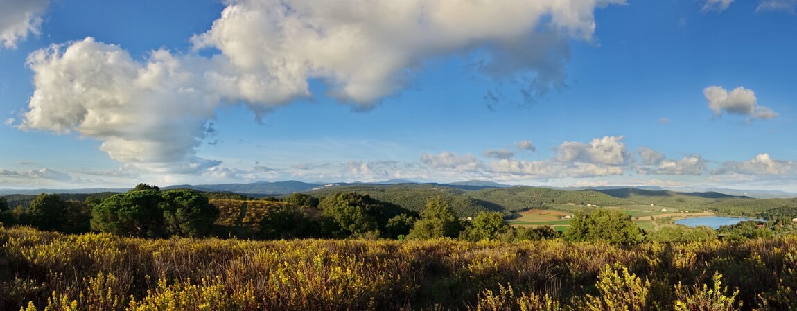 DSC02570 1150px