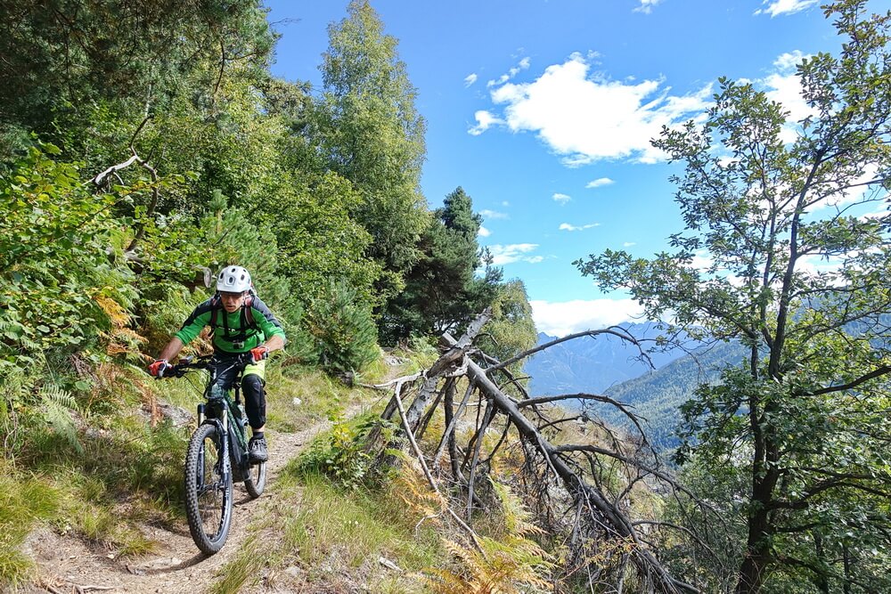 Valentina Trail