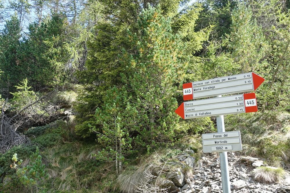 Passo del Mortirolo