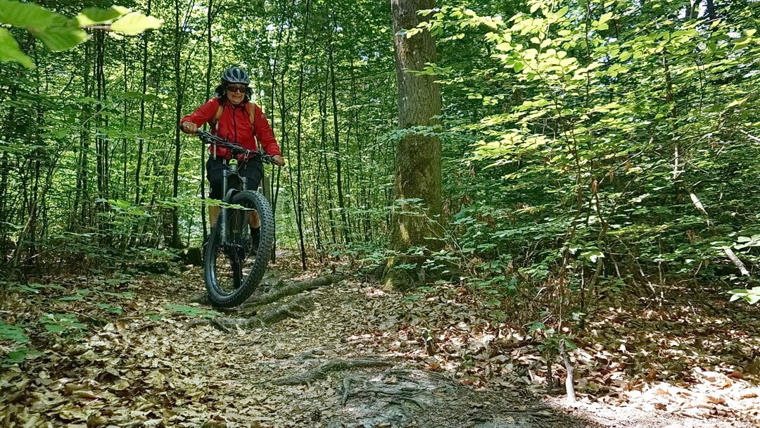 Konzentration aus Respekt vor dem Wurzeltrail