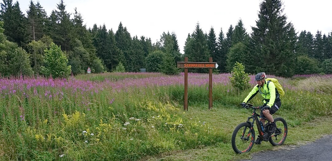 Am Schwarzen Moor