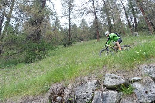 Last Trail